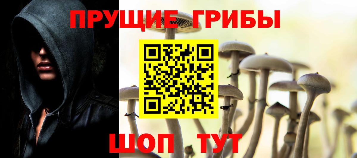 Бугуруслан  Псилоцибиновые грибы мицелий  Галлюциногенные грибы MAGIC MUSHROOMS  Вход с VPN 